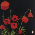 Poems of the Great War