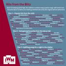 Hits from the Blitz (3CD)