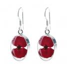 Real Poppy Earrings