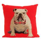 Red bulldog cushion